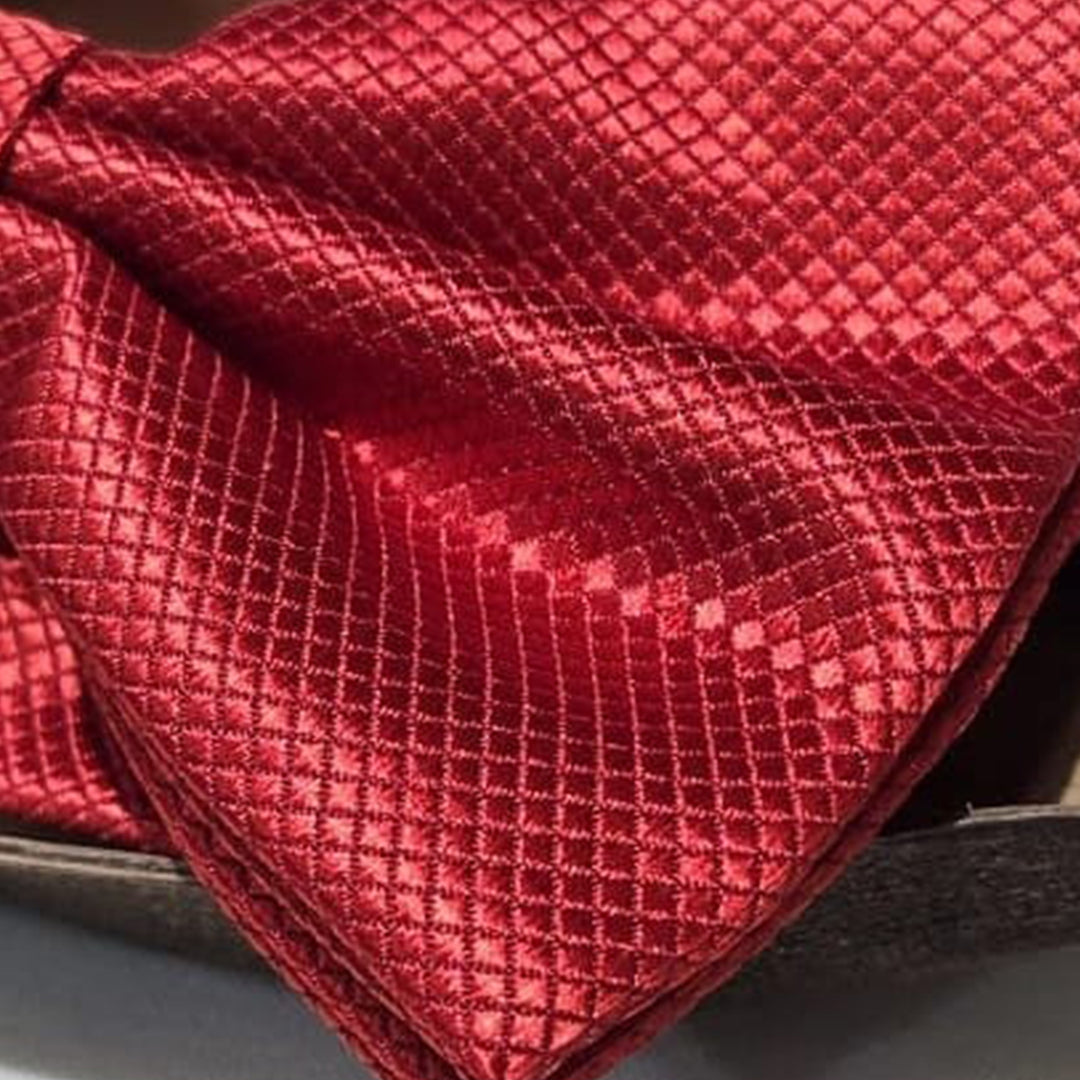 Party Red Bow Tie